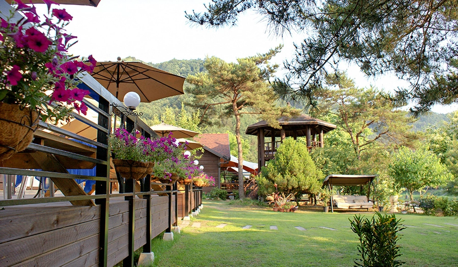 이미지