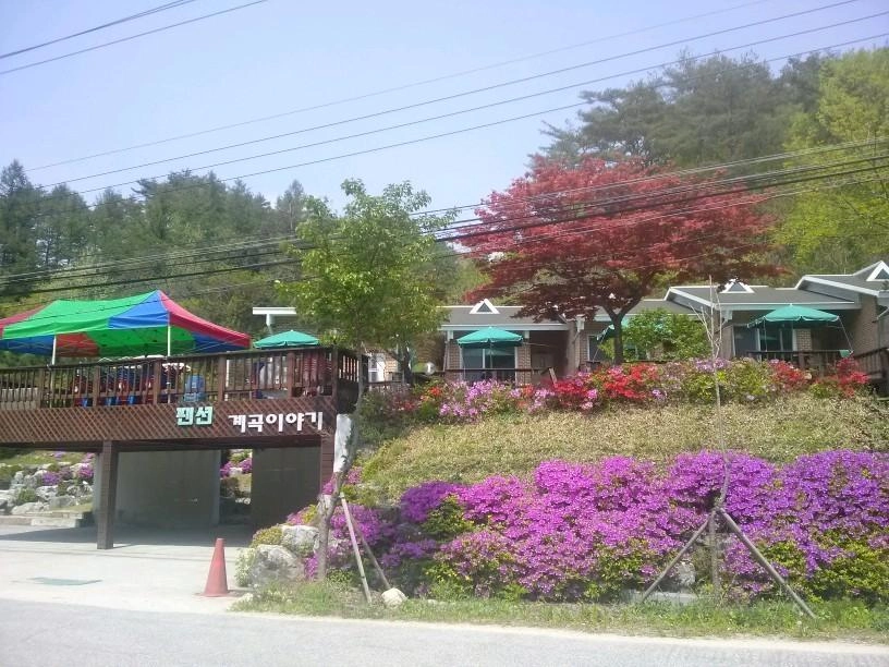 이미지