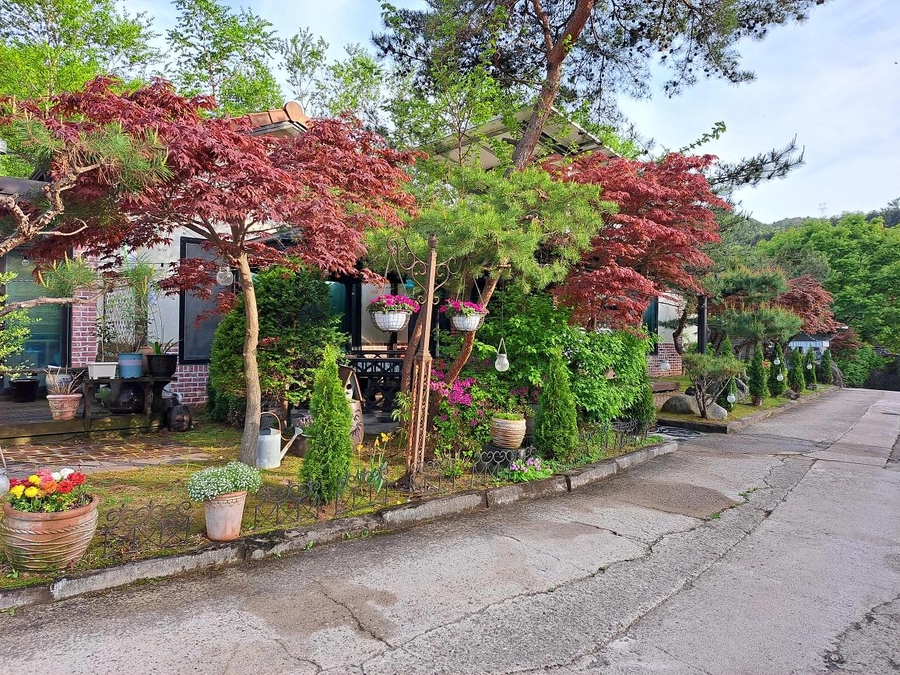 이미지