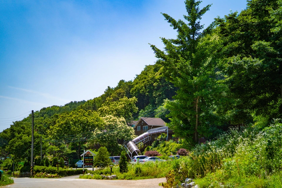 이미지