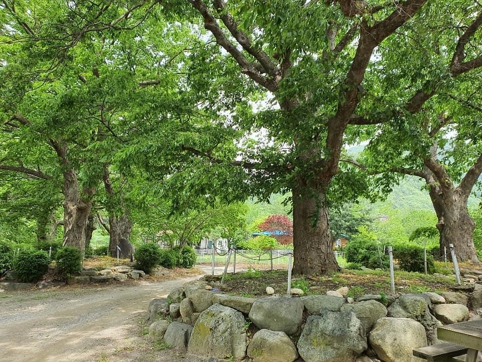 이미지