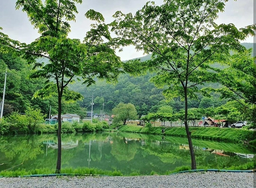 이미지