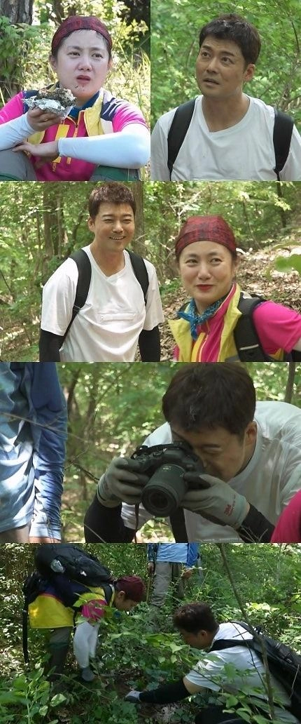 이미지