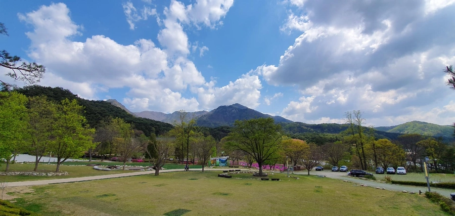이미지