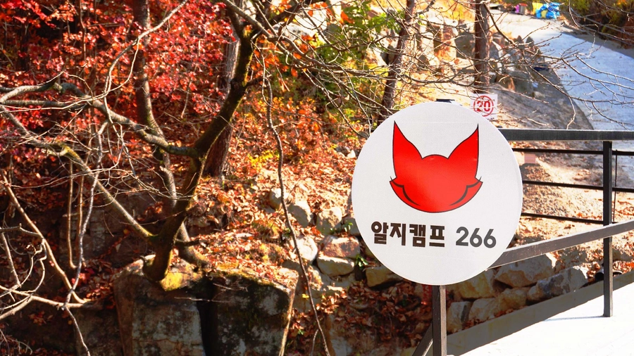 이미지