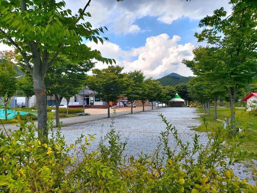 이미지