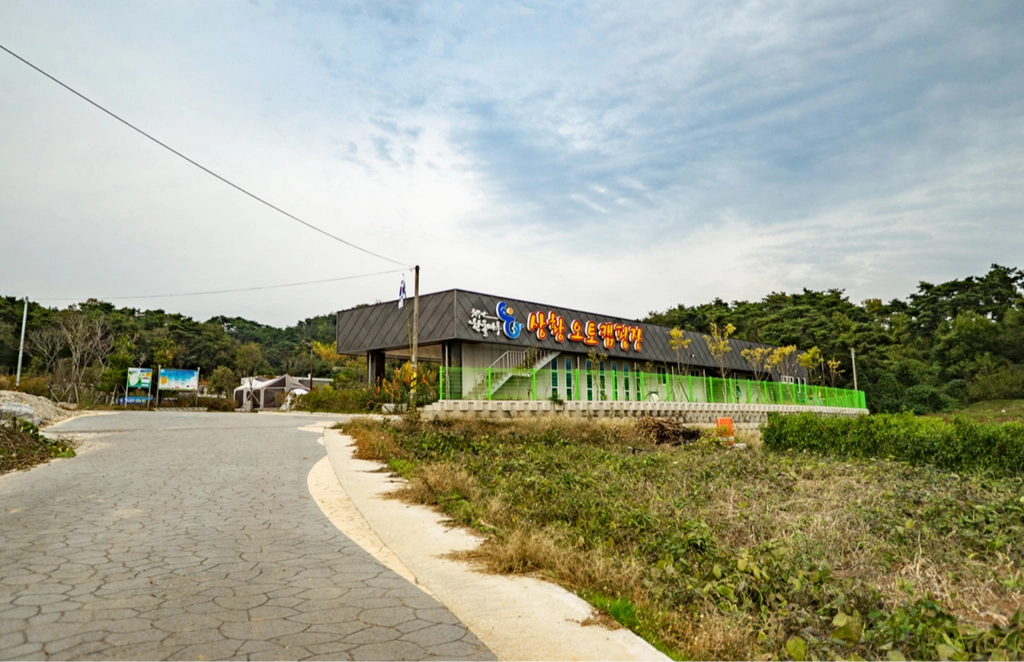 이미지